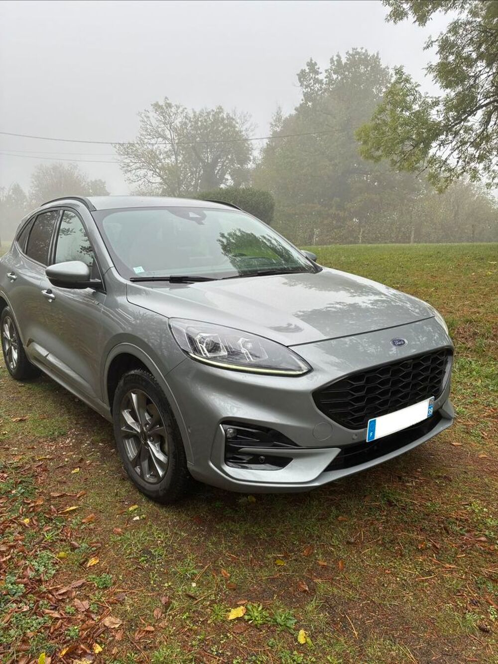 Kuga 2.5 Duratec 225 ch PHEV e-CVT ST-Line X 2021 occasion 39270 Augisey
