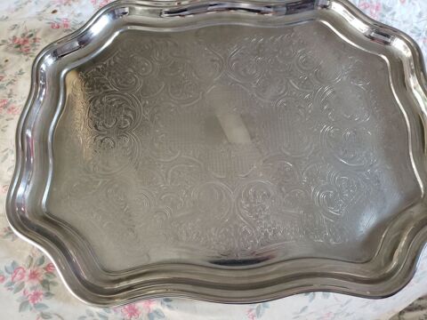 plateau inox 10 Viviers-du-Lac (73)