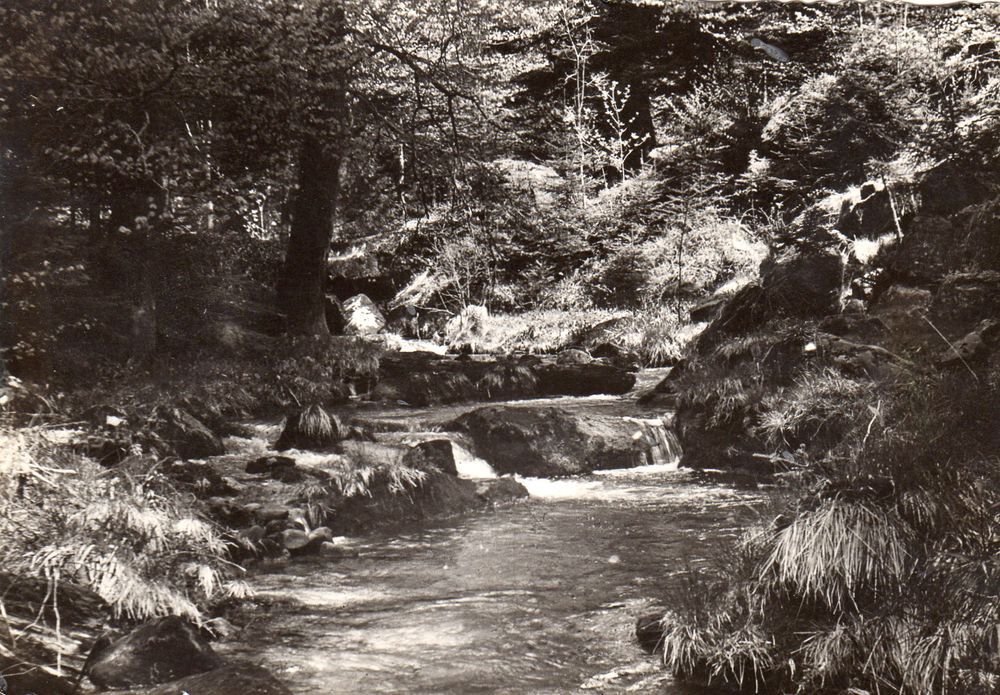 CPA - Carte postale -France - 
VOSGES 