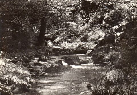 CPA - Carte postale -France - 
VOSGES 1 Caumont (09)