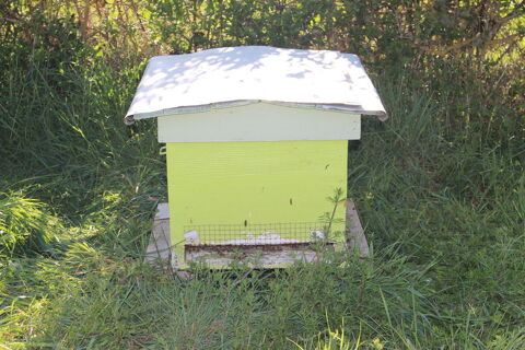 C&egrave;de  1 ruche Dadant 10 c. pleine 120 23270 Ch�telus-malvaleix