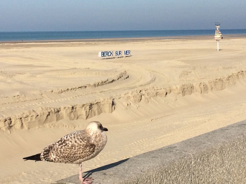   T2 à Berck sur mer tout confort wifi, parking, marché, centr Nord-Pas-de-Calais, Berck (62600)