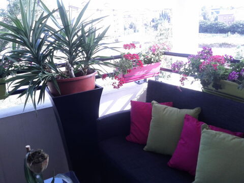 Mon espace d�tente complet pour cet �t� Beauzelle (31)