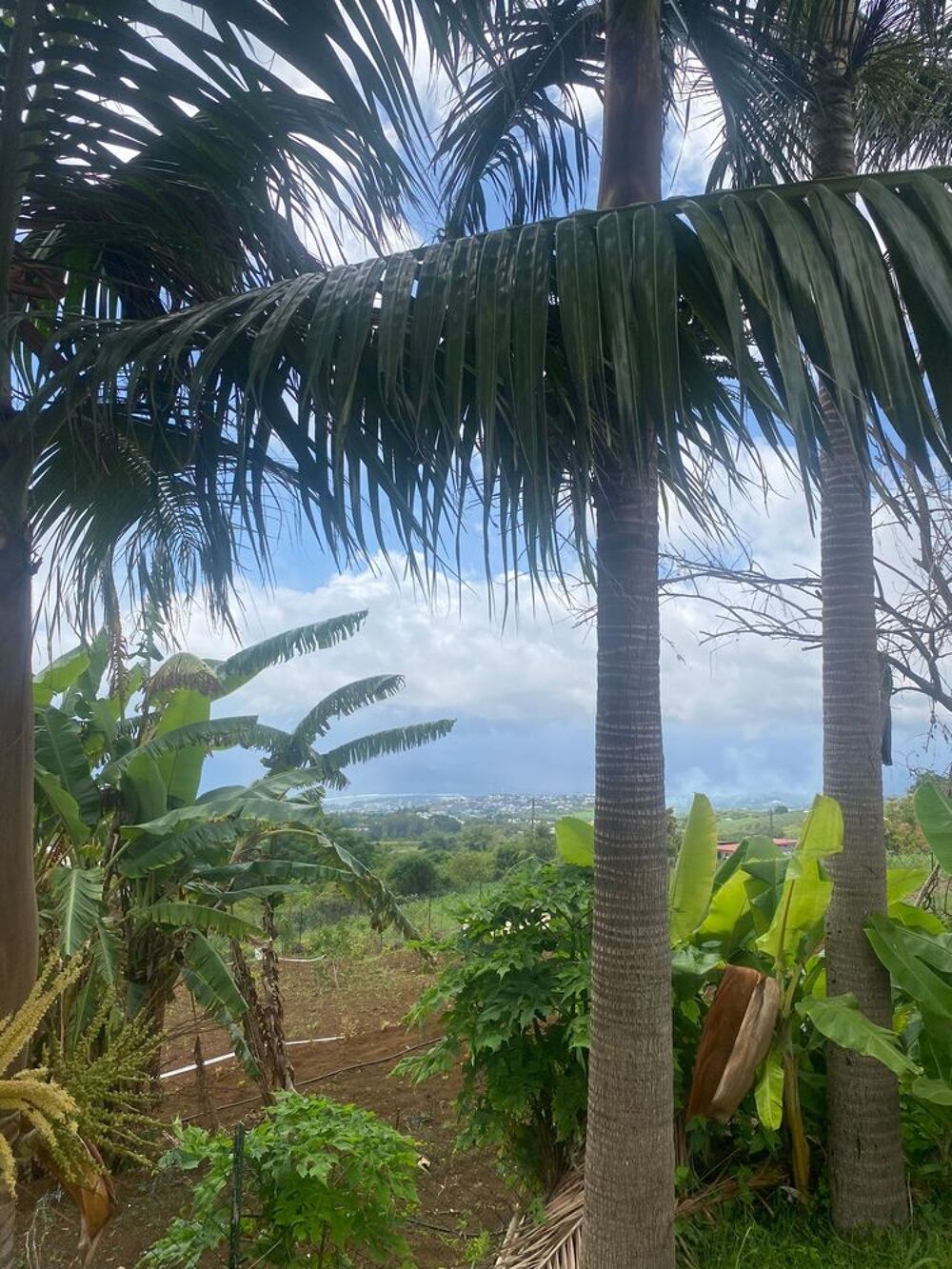 Vente Maison ORPI - TROIS BASSINS Maison rénovée avec vue mer de 90m² Les trois-bassins