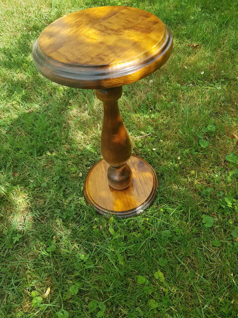 Chevalet plante 20 Ambillou-Chteau (49)