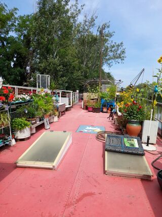  Pniche  vendre 3 pices 40 m Arles