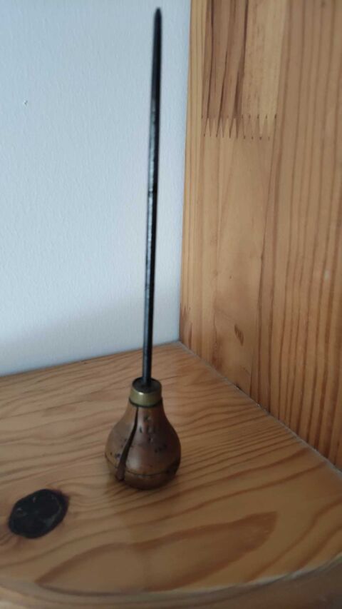 aiguille poinon 5 Malesherbes (45)