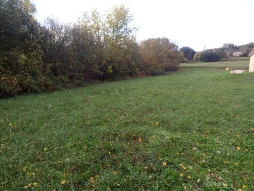 Vente Terrain terrain constructible de 1983 m2 Saint-cyprien
