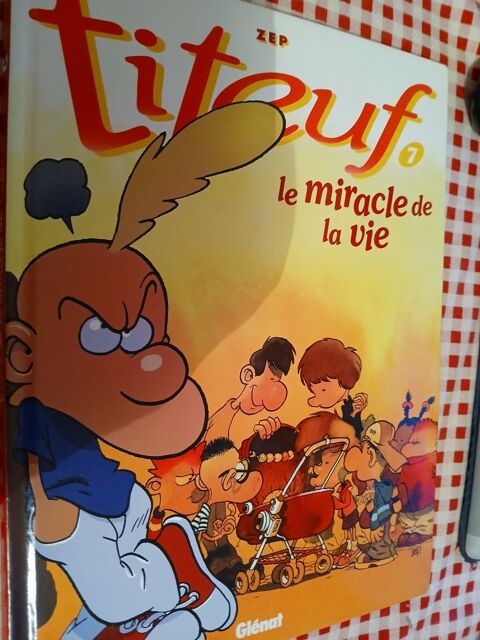 BD TITEUF
LE MIRACLE DE LA VIE N� 7
7 Triel-sur-Seine (78)
