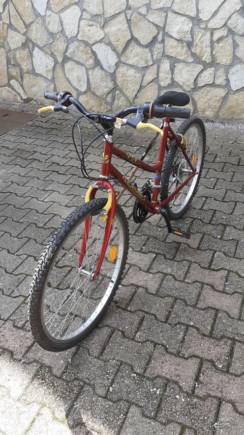 Vtt femme 50 Roanne (42)