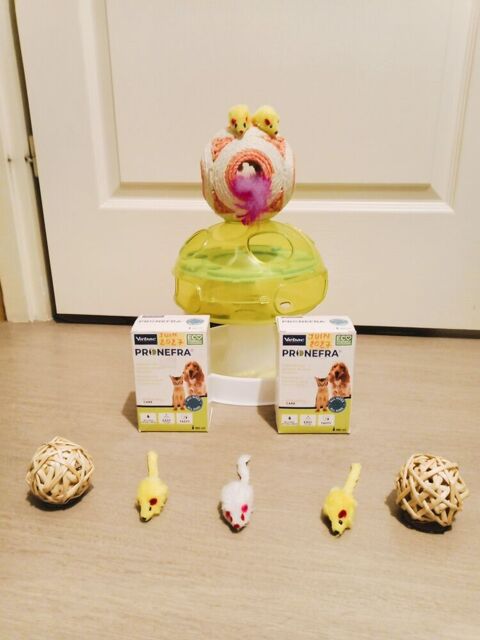 ACCESSOIRES CHAT: PRONEFRA, BOITE POUR CROQUETTES,1 SOURIS 25 74200 Thonon-les-bains