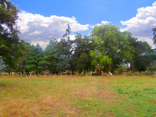 Vente Terrain Beau terrain d'environ 2ha 40 avec étang entouré d'arbres Lamonzie-saint-martin