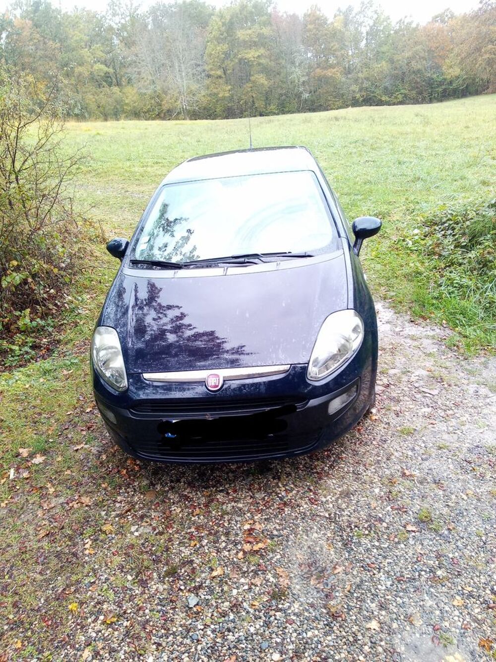 Punto Evo 1.3 Multijet 16V 85 S&S DPF 90g Dynamic 2011 occasion 09300 Villeneuve-d'Olmes