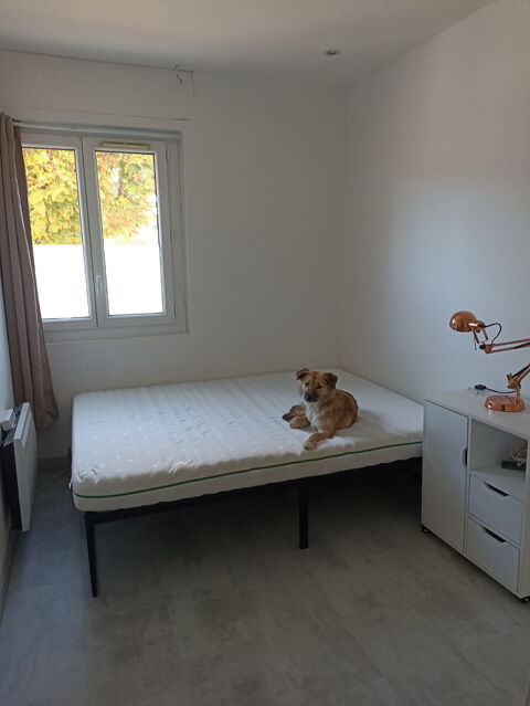  Appartement  louer 3 pices 43 m