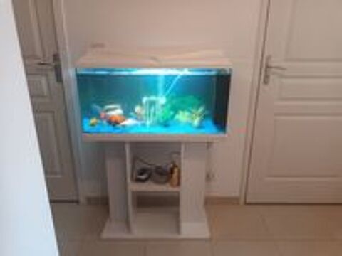   Aquarium  