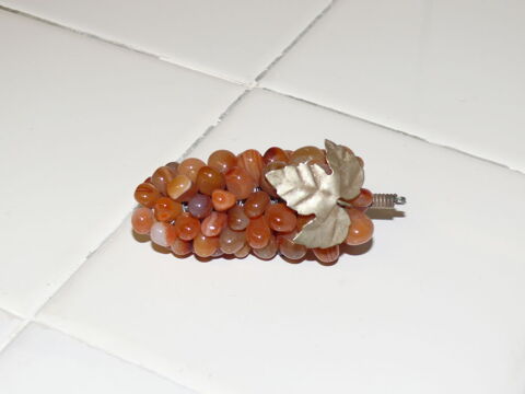 Grappe de raisin 7 Saintes (17)