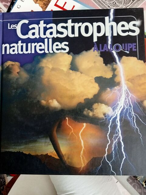Les catastrophes naturelles 3 Saint-Marcel (27)