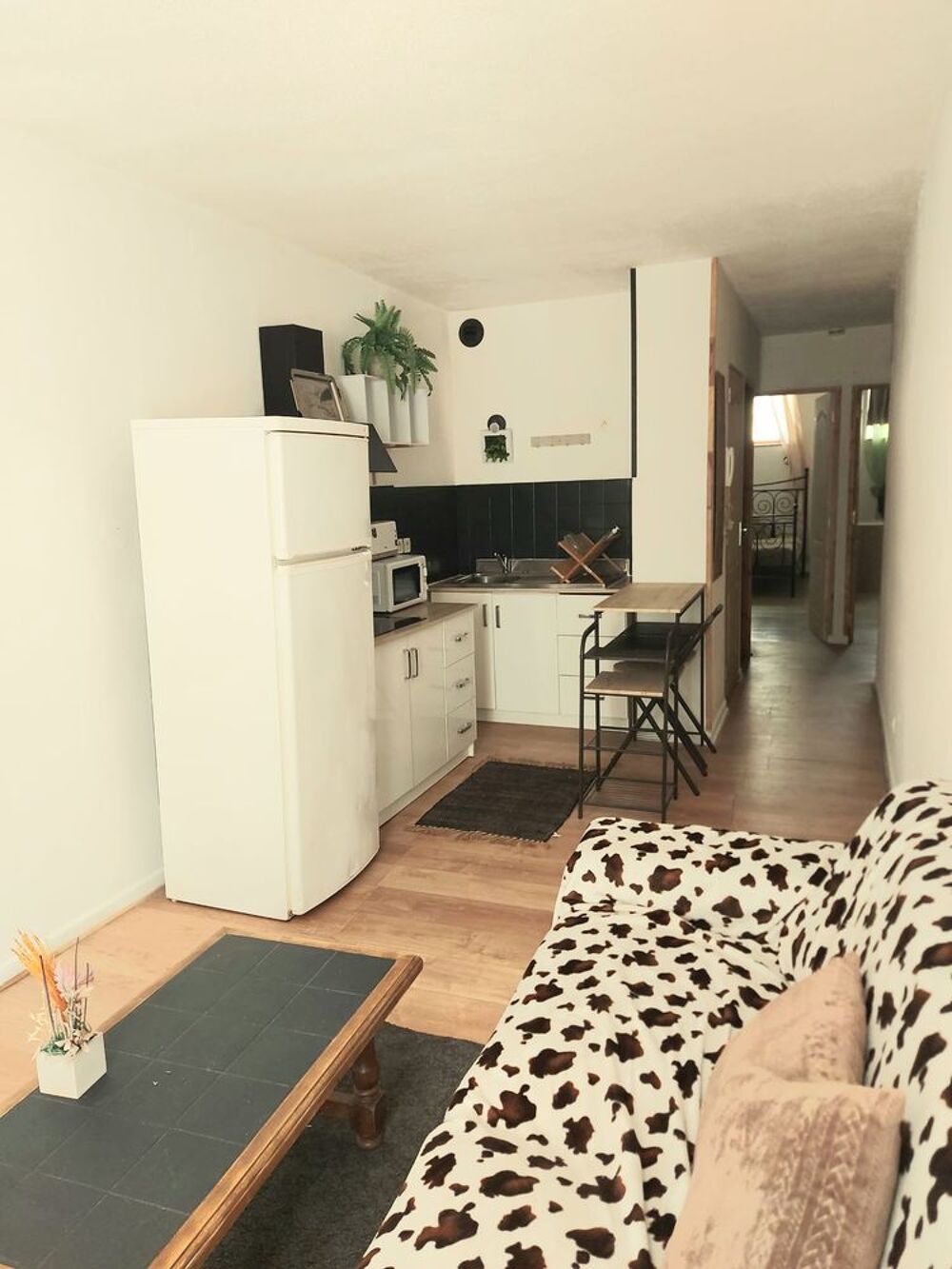 Vente Appartement APPARTEMENTS DE RAPPORT IMPORTANT Salies-du-salat