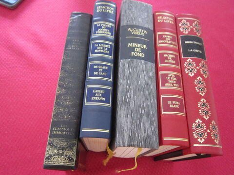 Un lot de cinq (5) livres d'auteurs diff�rents 20 Brignais (69)
