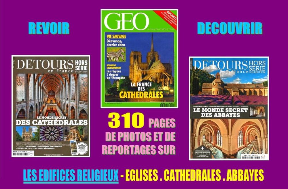 LES &Eacute;DIFICES RELIGIEUX - cath&eacute;drales - ABBAYES Livres et BD