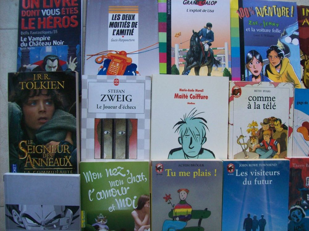 lot de livres pOur ADO Livres et BD
