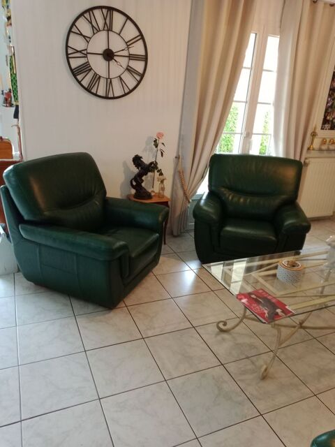 fauteuil cuir de buffle  150 Blainville-sur-Orne (14)
