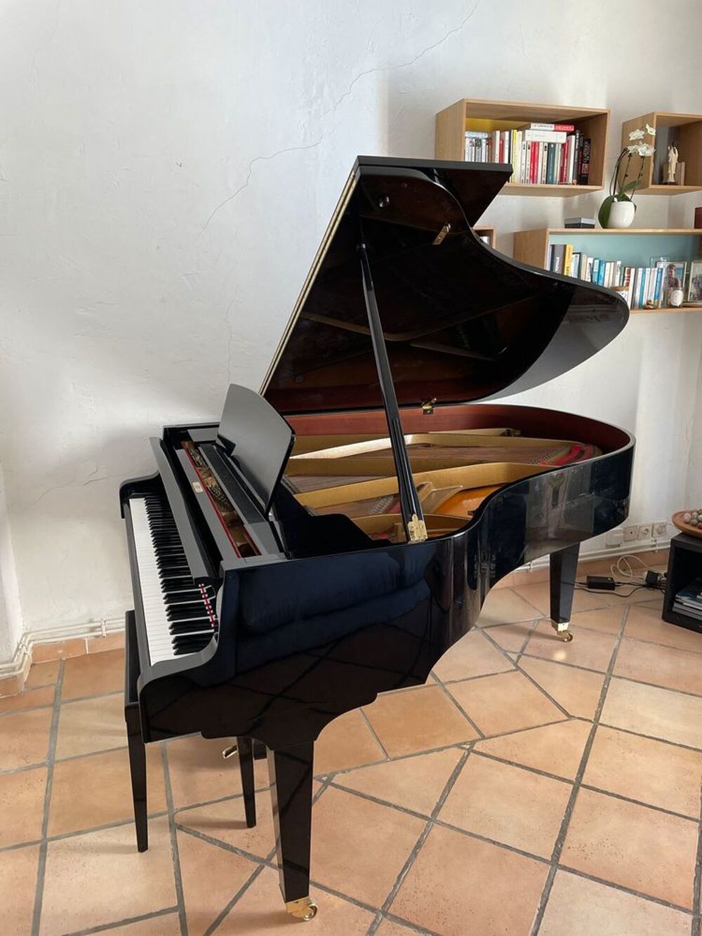 PIANO A QUEUE C.SAUTER Instruments de musique