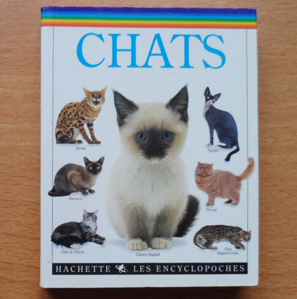Livre chats Livres et BD