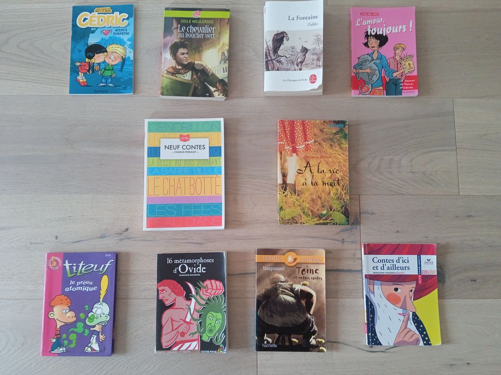 lot DE 20 LIVRES ENFANTS + 3 BD NEUVES Livres et BD