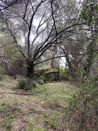  Terrain � vendre 44000 m� Pila-canale