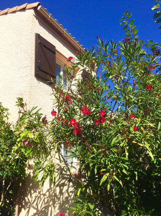 Location  Maison - Villa 