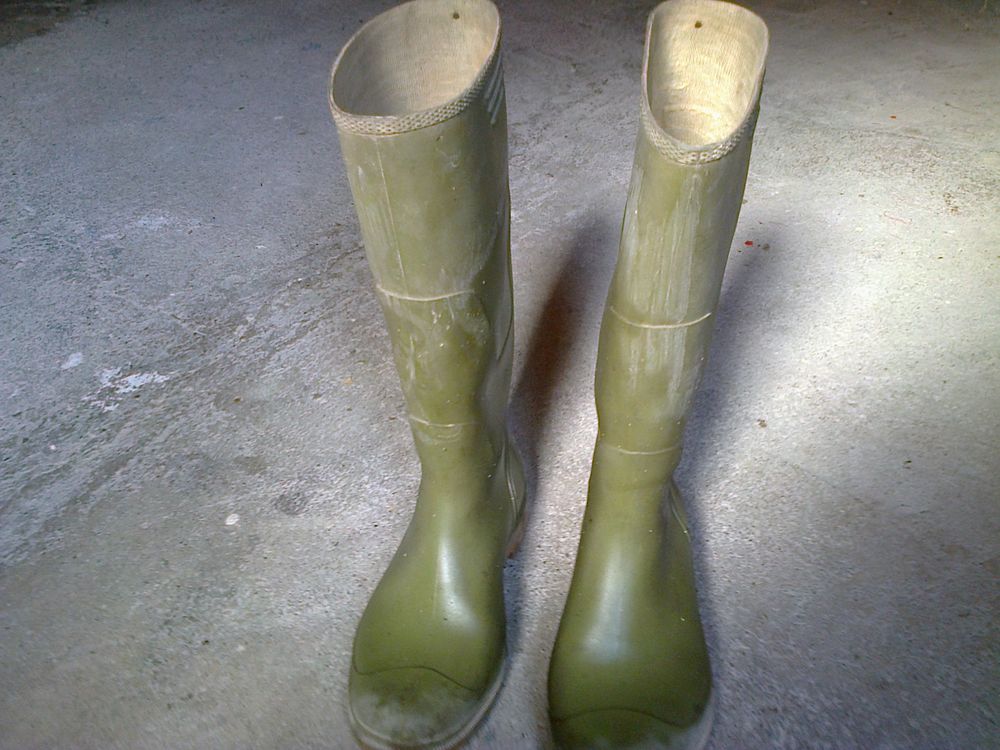 Bottes en caoutchouc. Chaussures