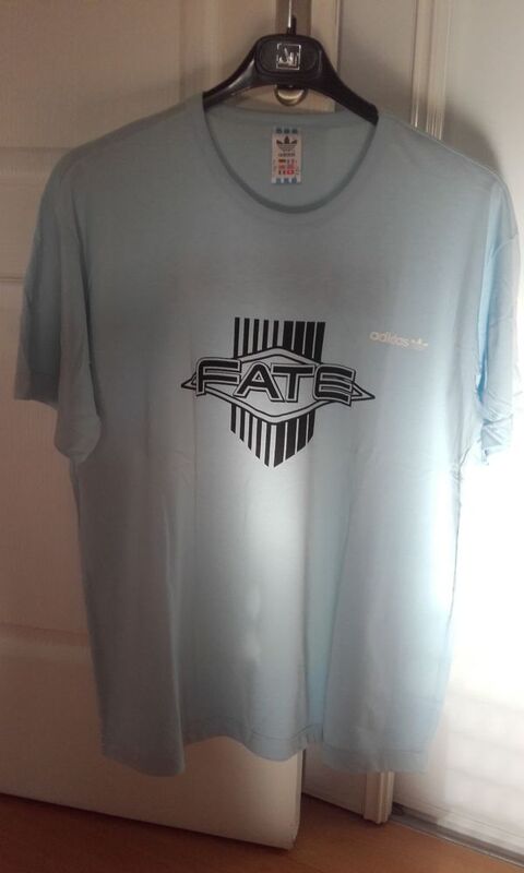 T-Shirt : Fate - Summerlove Europe Tour 1987 - Taille : M 250 Angers (49)