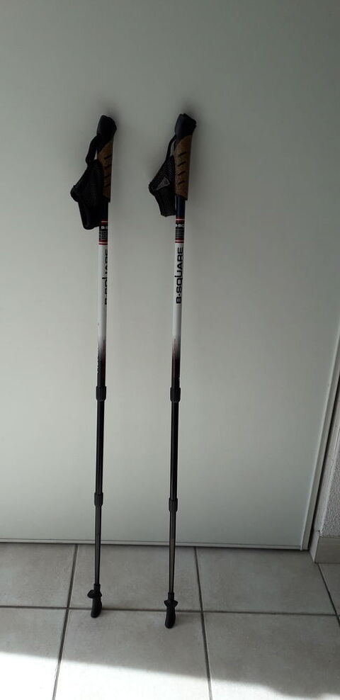 Battons de marche 15 Sn (56)