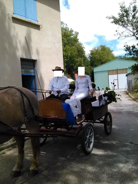 Calche wagonnette 8 pl, timon et brancards, freins  disque 0 Lacaze (81)