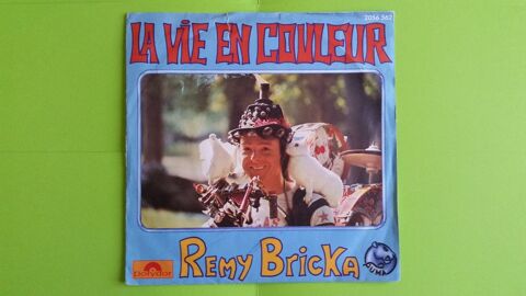 R�MY BRICKA 0 Toulouse (31)