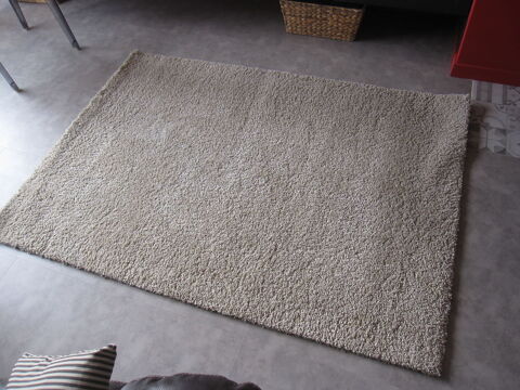 TAPIS 25 Saint-Apollinaire (21)