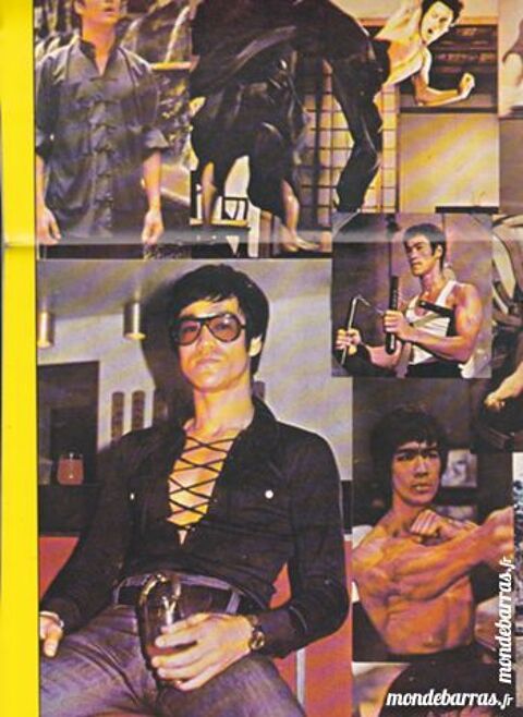 Poster Gant Les 1000 Visages de Bruce Lee 5 Jou-ls-Tours (37)