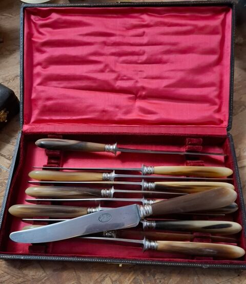 Coffret de 11 couteaux manche corne 20 Colmar (68)