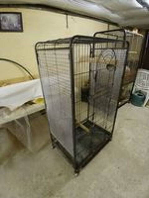   2 cages  perroquet 
