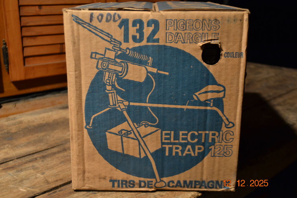 PIGEONS D'ARGILE Bricolage