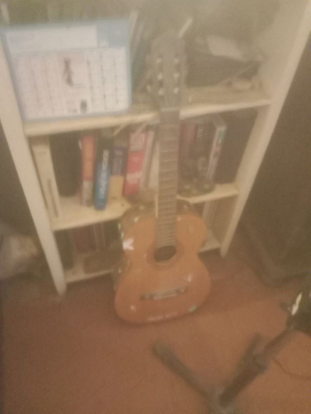 Guitare s&egrave;che Instruments de musique