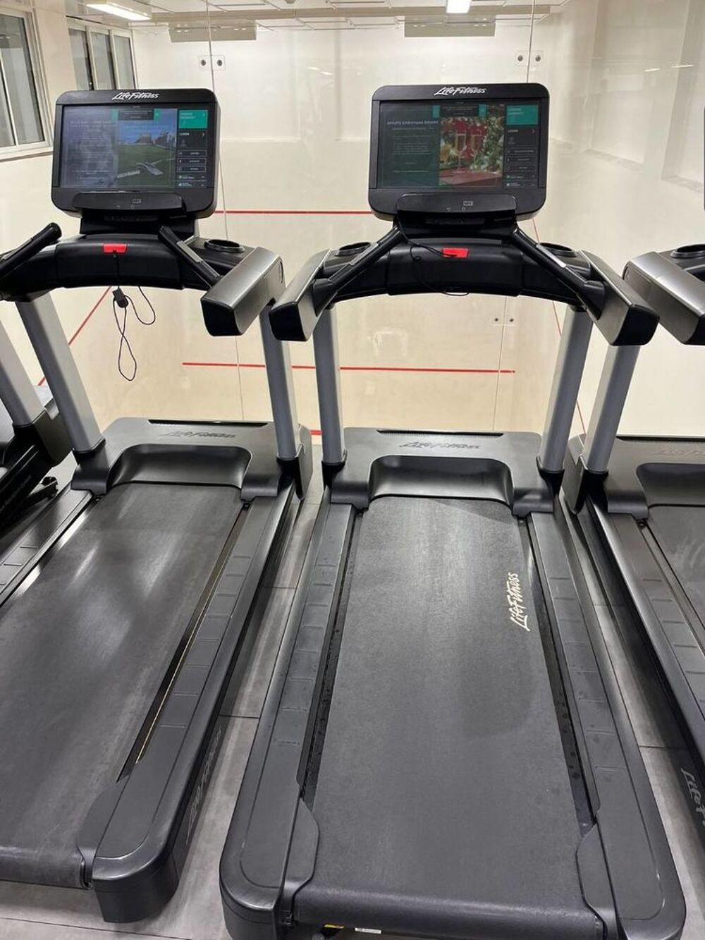 Lot complet Fitness Life Fitness &amp; Hammer Strength Sports