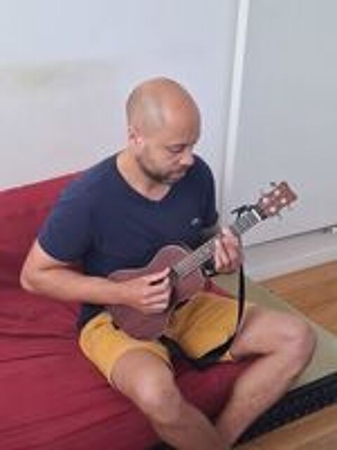  Pro donne cours de guitare et de ukulélé pour 30€ sur Paris 
