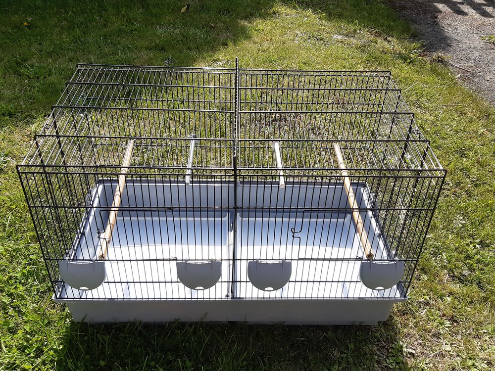   cages oiseaux 