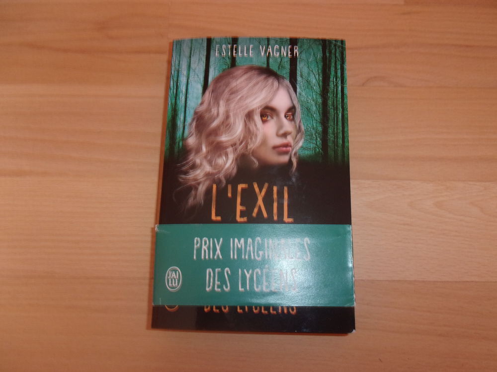 Livre &quot;L'Exil&quot; d'Estelle Vagner d&eacute;dicac&eacute; (Neuf) Livres et BD