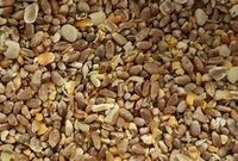  aliment graines basse cour / poule / lapin  