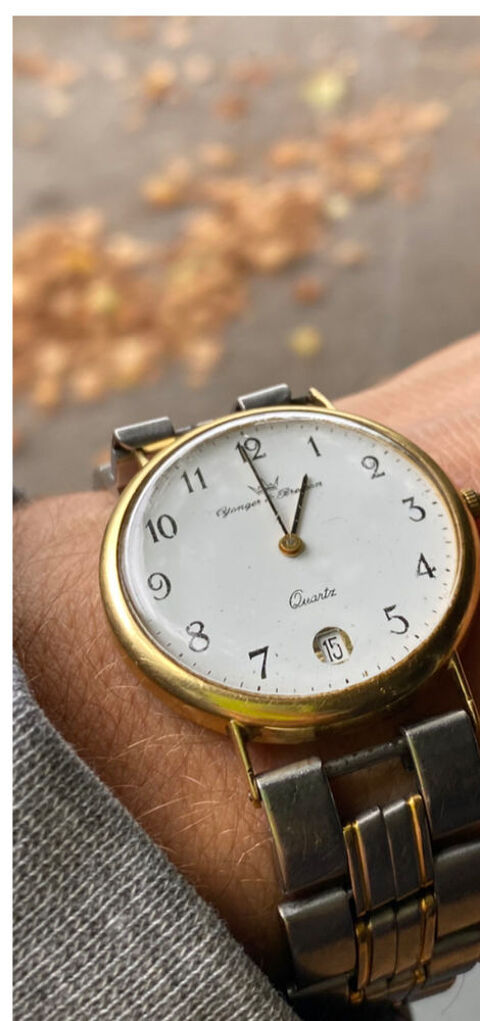 MONTRE VINTAGE 1200 Chambéry (73)