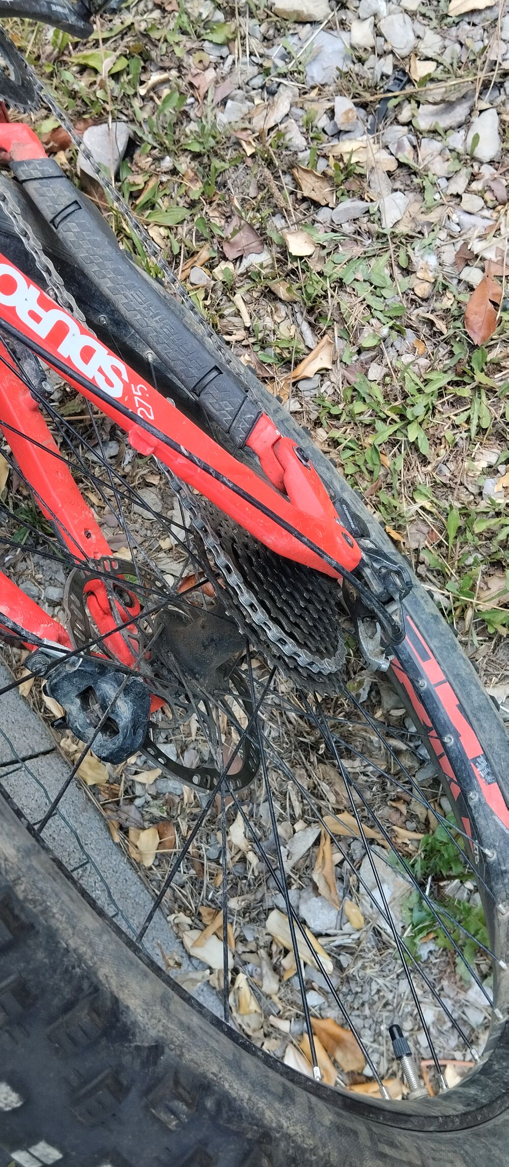 VTT assistance electrique Vélos