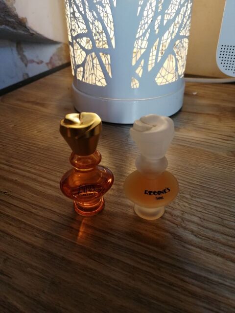 Lot 2 flacons Regine's 4 Coulonges-sur-l'Autize (79)